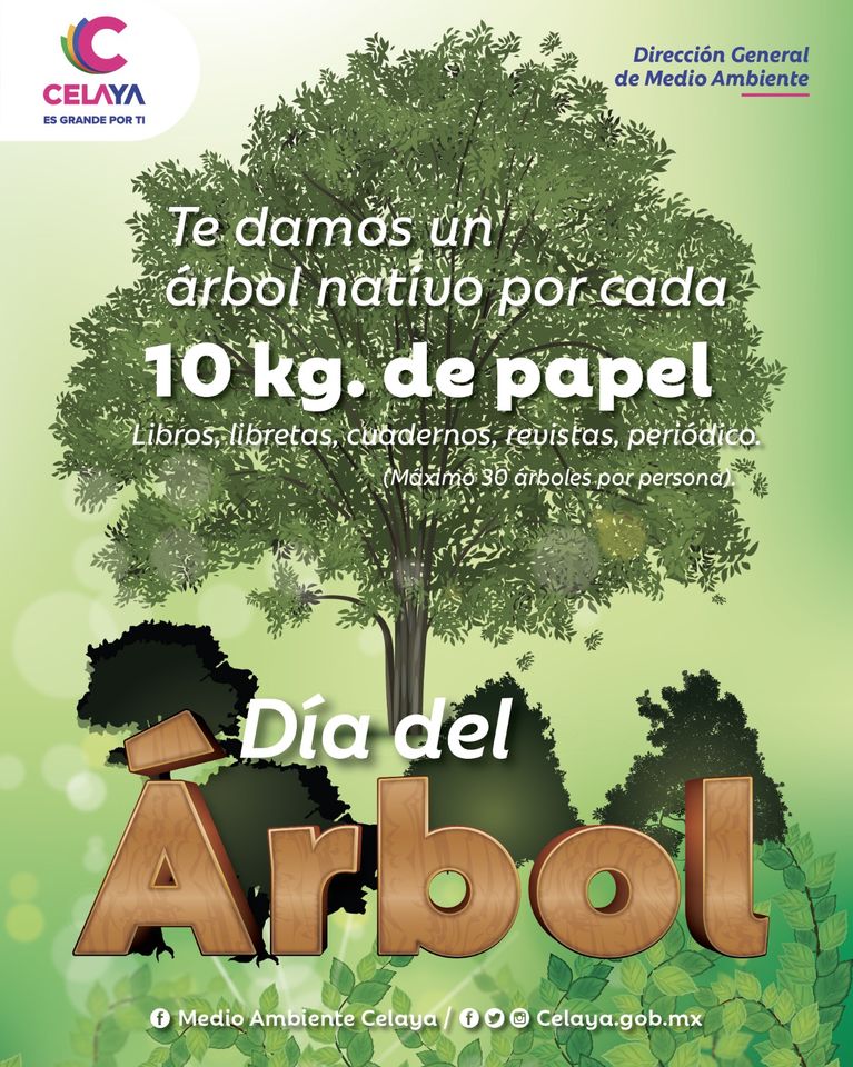 ARBOL