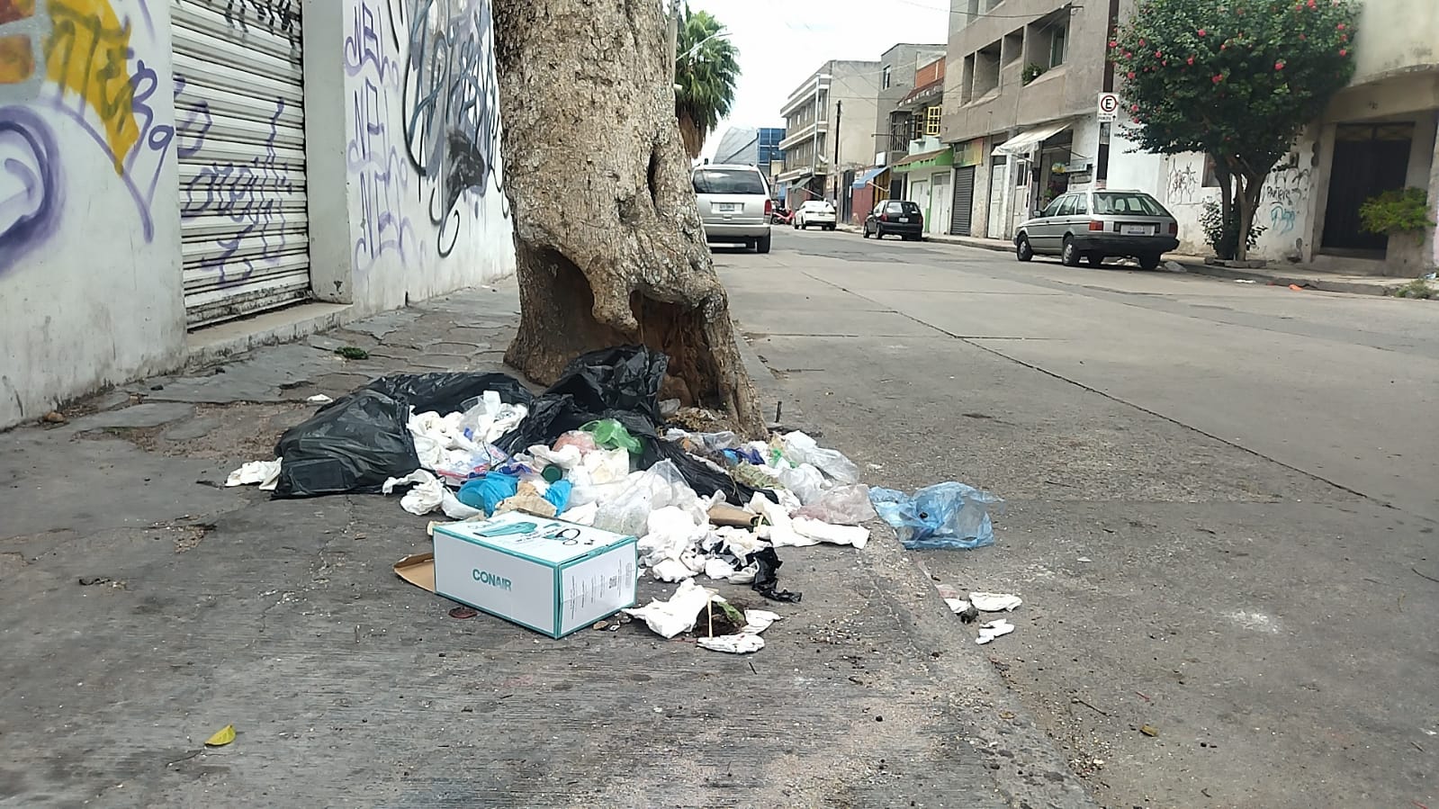 BASURA-1