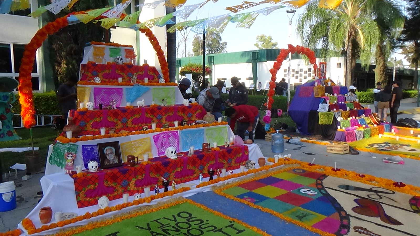 Imagen-de-WhatsApp-2023-11-02-a-las-13.36.32_3ae63d43