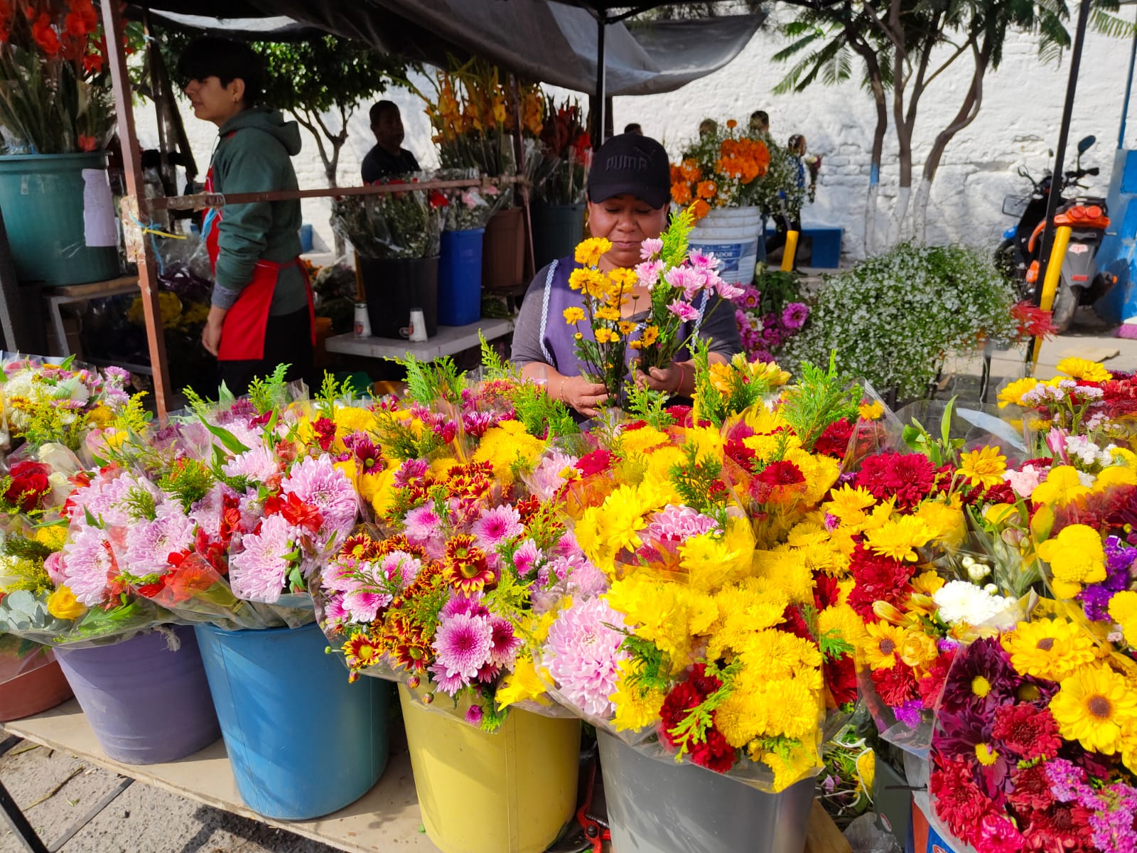 Imagen-de-WhatsApp-2023-11-02-a-las-13.37.30_3a8ebf38