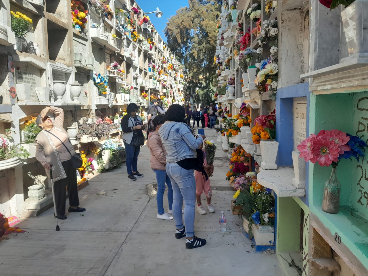 Imagen-de-WhatsApp-2023-11-02-a-las-15.50.57_93dca617