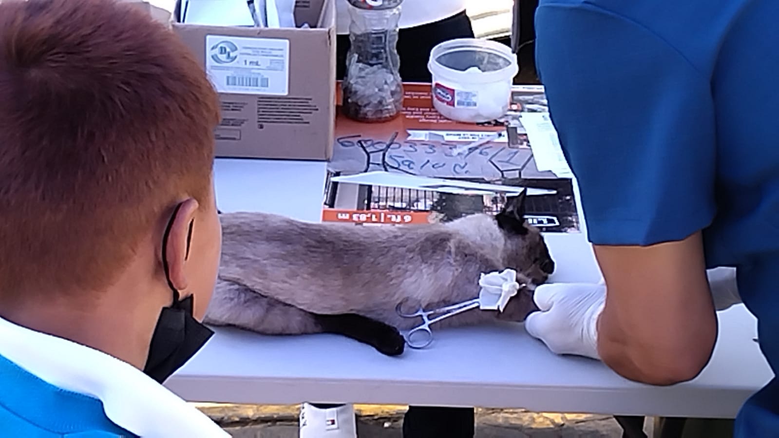 Imagen-de-WhatsApp-2023-11-13-a-las-17.55.07_db2fddcb