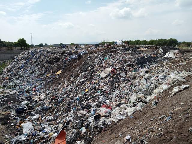 Imagen-de-WhatsApp-2023-11-17-a-las-16.27.39_23dce857