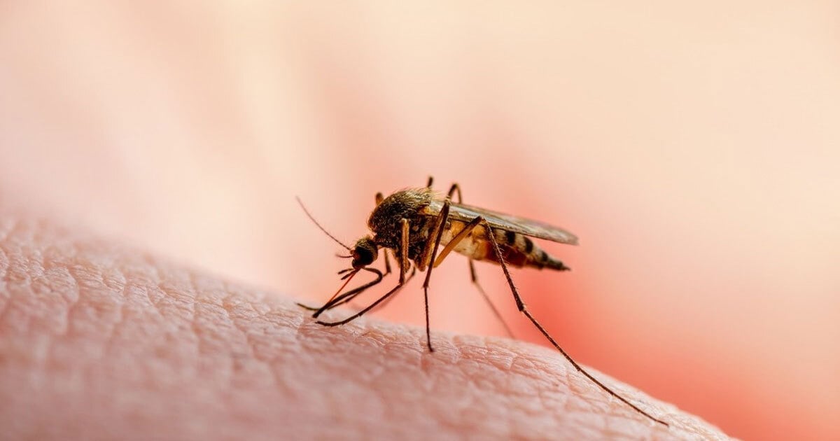 Imagen-de-WhatsApp-2023-11-22-a-las-16.02.32_74311995