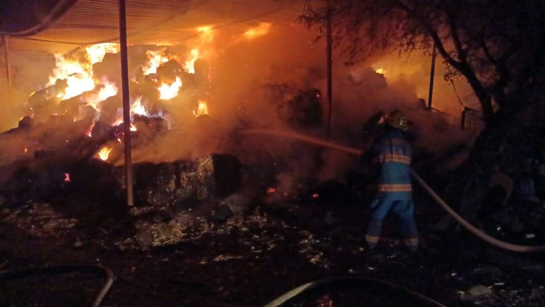 Imagen-de-WhatsApp-2024-01-02-a-las-17.50.49_6e65a5b2