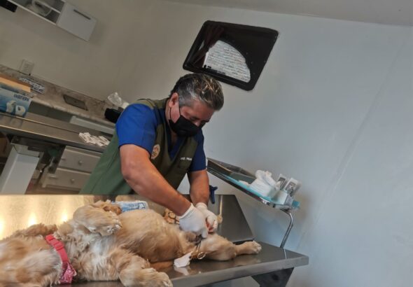 Imagen-de-WhatsApp-2024-01-04-a-las-18.26.15_9252fd82