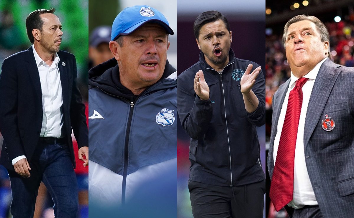 Imagen-de-WhatsApp-2024-01-09-a-las-13.21.02_a5fa2cf8