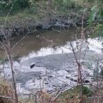 Imagen-de-WhatsApp-2024-01-19-a-las-18.25.12_d094c0ae