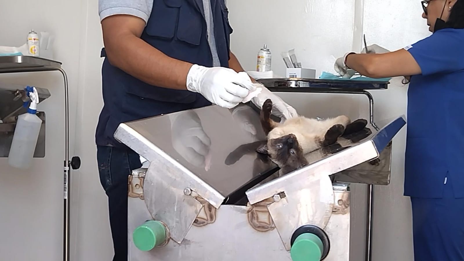 Imagen-de-WhatsApp-2024-01-24-a-las-14.07.30_ec642131