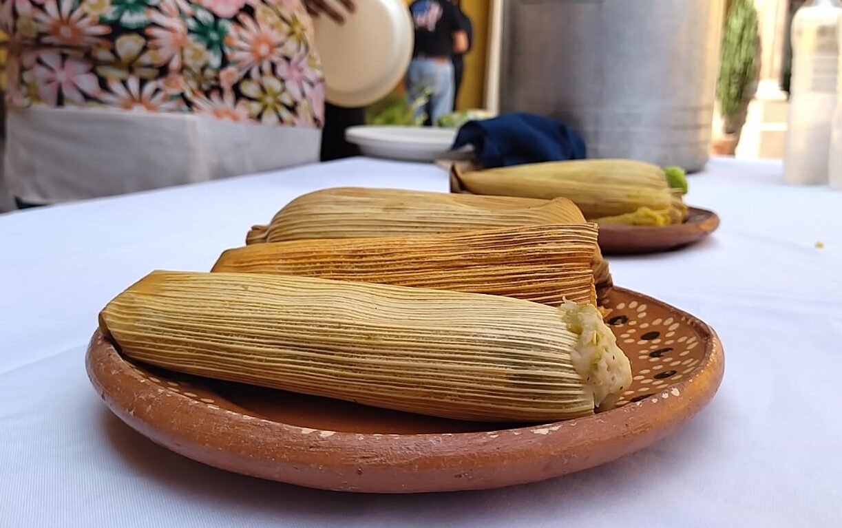 Imagen-de-WhatsApp-2024-01-24-a-las-16.56.34_c75887c1