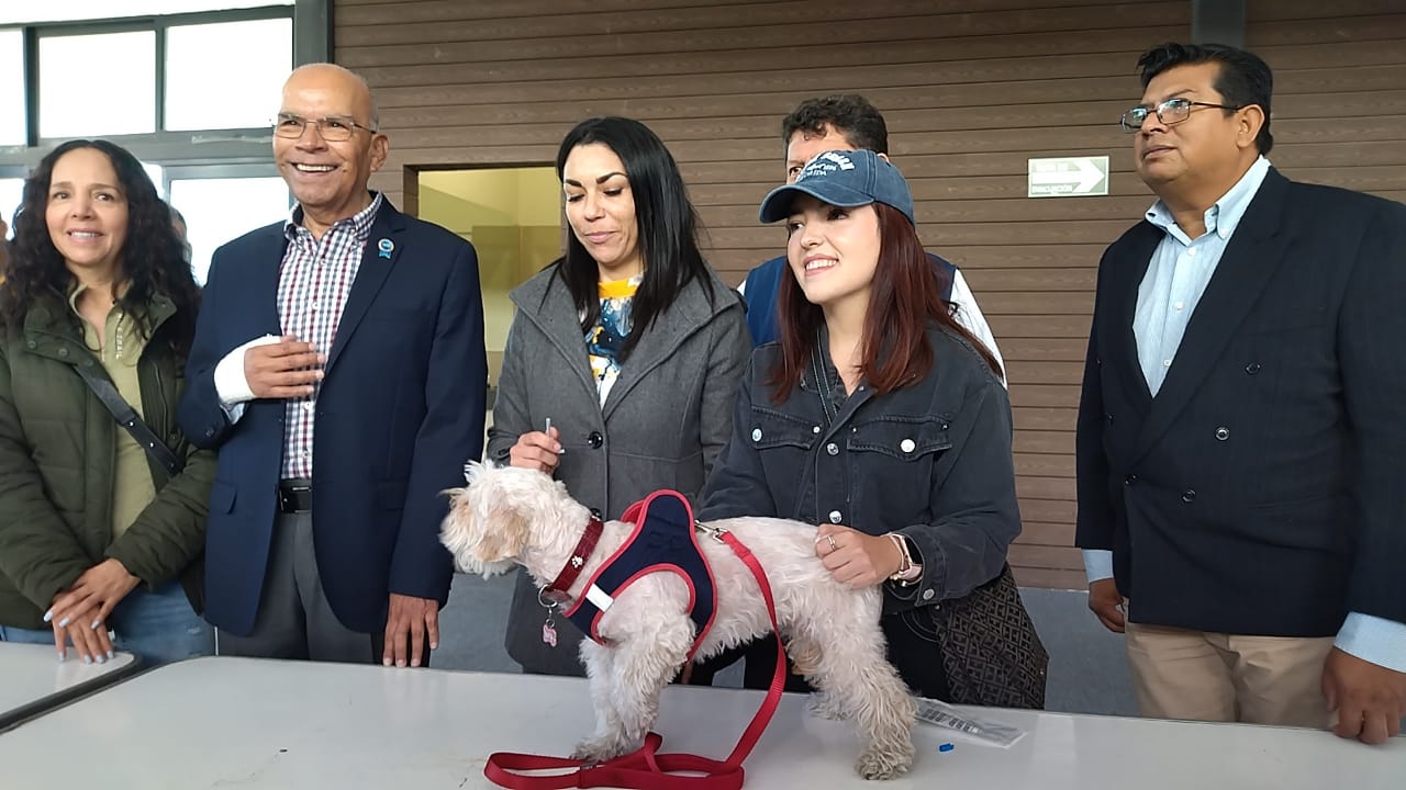 Imagen-de-WhatsApp-2024-01-26-a-las-18.14.49_be1a1fdc