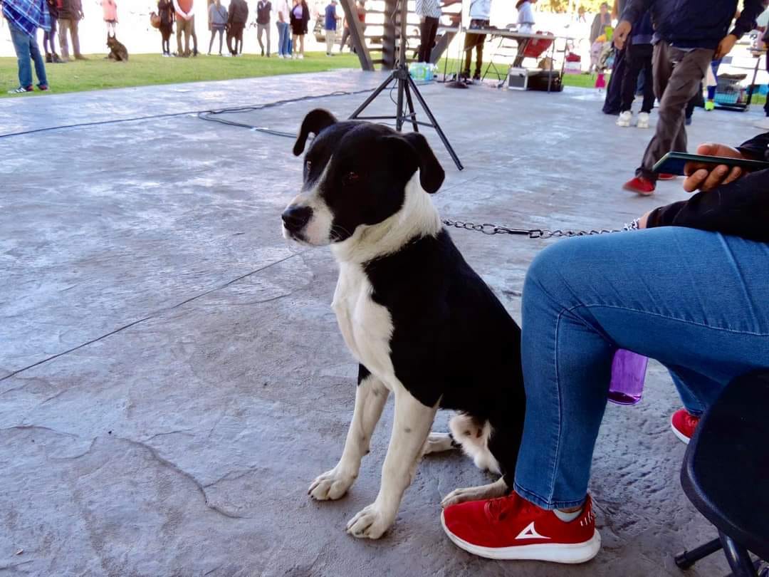 Imagen-de-WhatsApp-2024-02-09-a-las-12.58.04_4ab51ff4