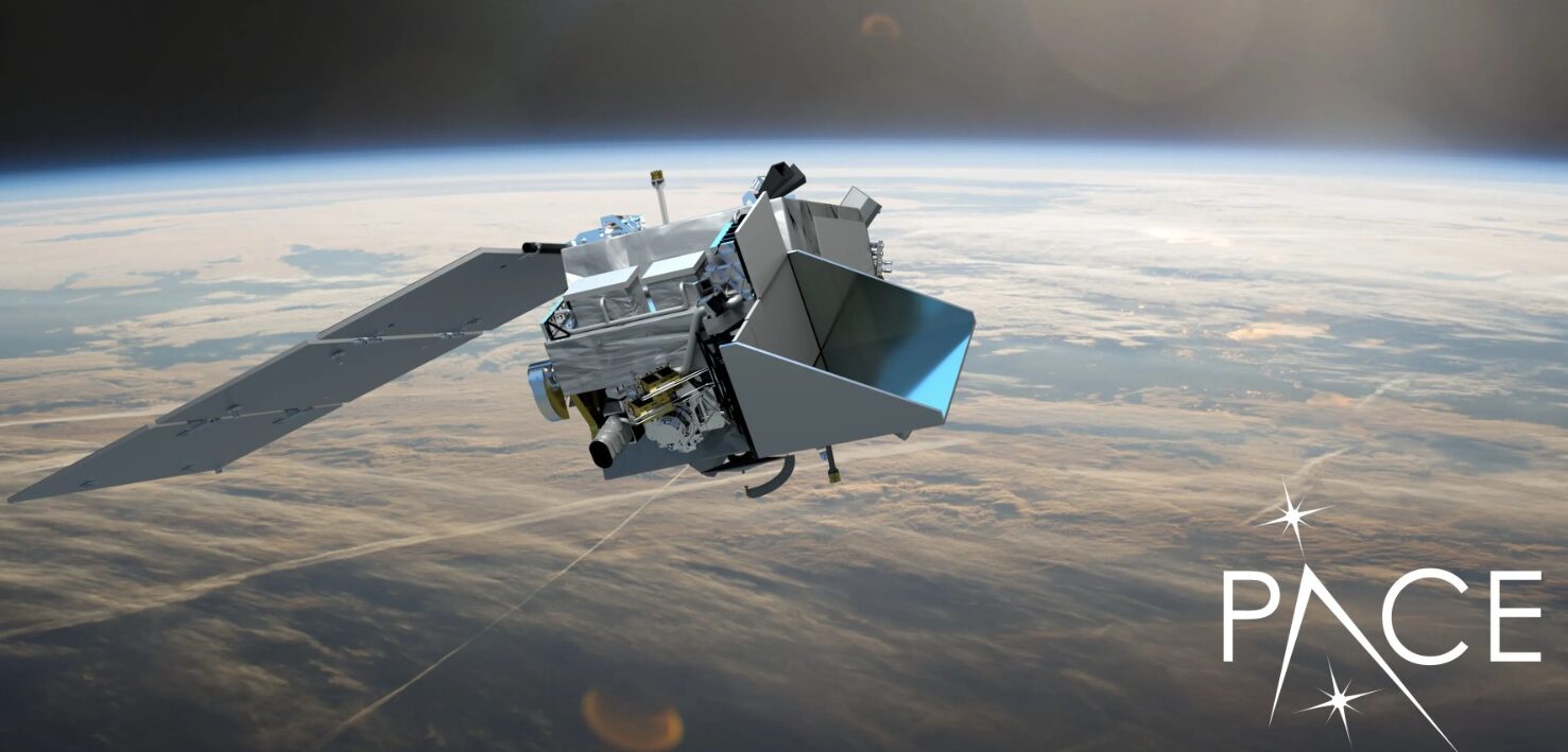 Imagen-de-WhatsApp-2024-02-16-a-las-16.18.38_5a582d75