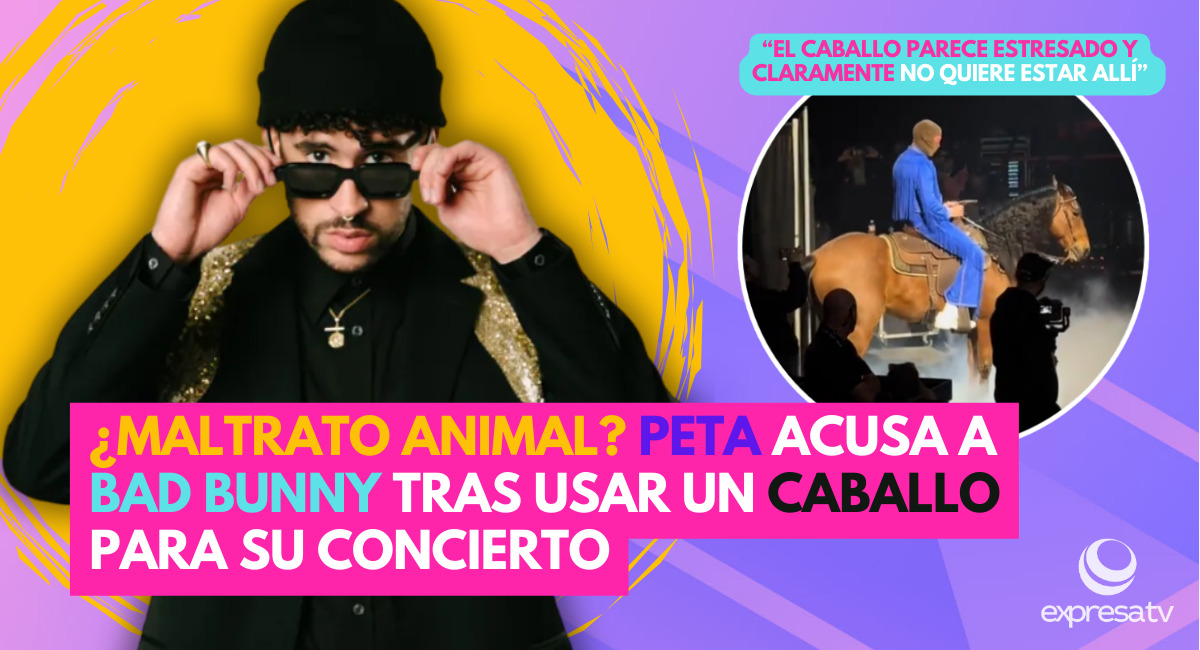 Imagen-de-WhatsApp-2024-02-26-a-las-14.13.16_1bb25a69