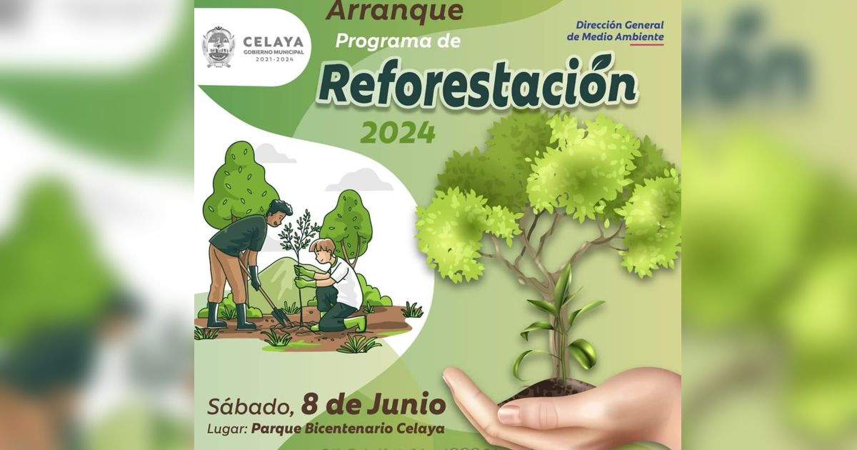 REFORESTACION