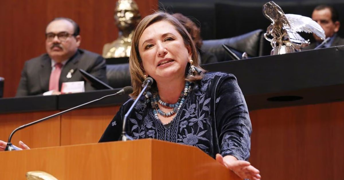 XÓCHITL SENADO