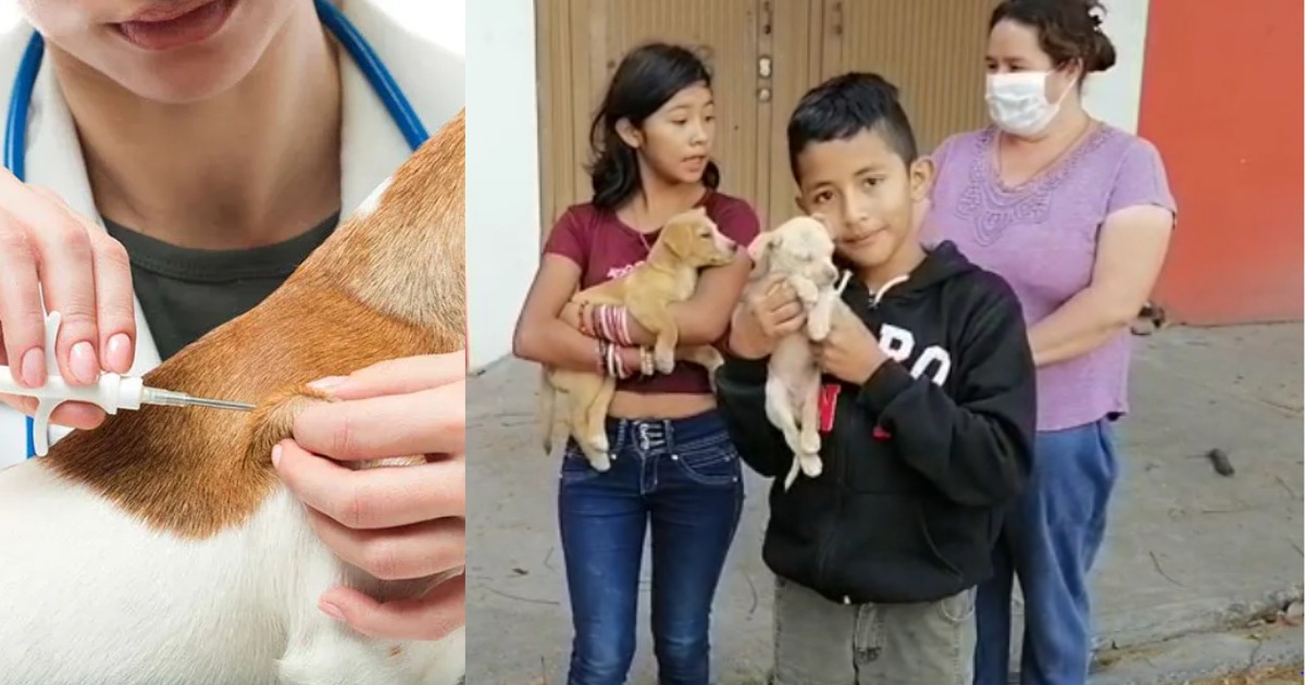 Imagen-de-WhatsApp-2024-07-08-a-las-16.06.57_e08abd37