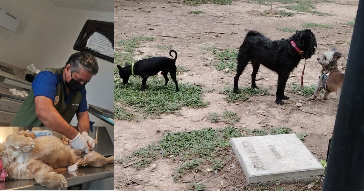 Imagen-de-WhatsApp-2024-07-10-a-las-15.56.51_a81d82e7