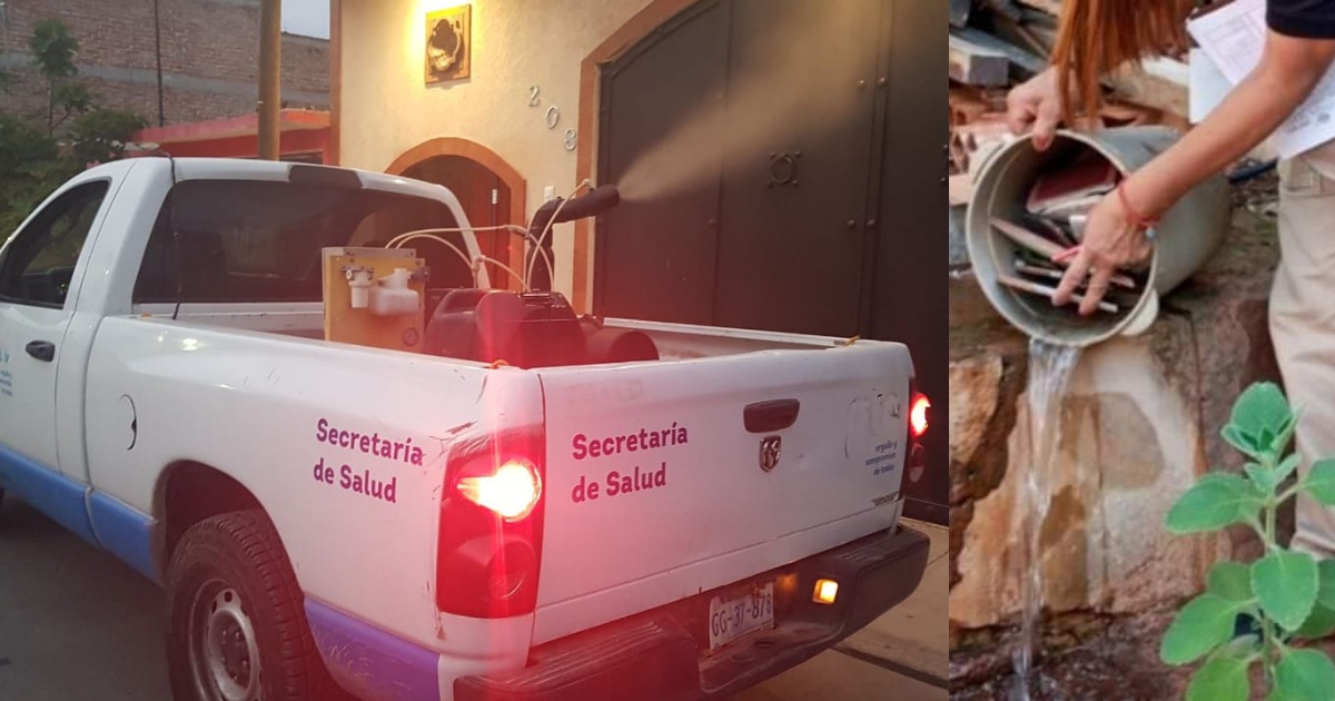 Imagen de WhatsApp 2024-07-22 a las 15.41.34_dc27866c