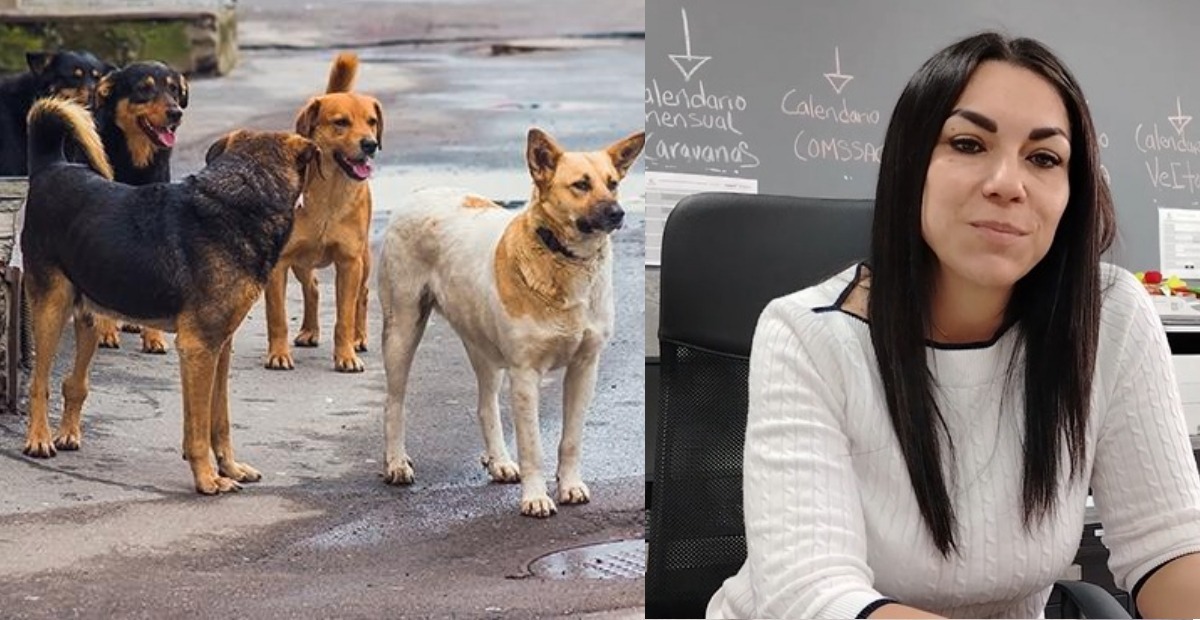 Imagen de WhatsApp 2024-07-24 a las 17.57.46_5b616080