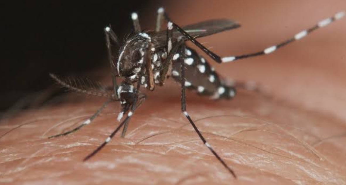 PENUP_20240726_004255