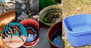 PHOTO-2024-07-05-17-24-30