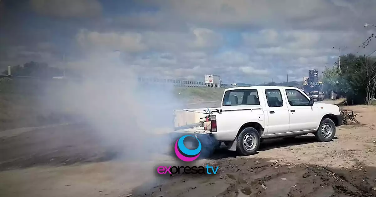 NEBULIZACIONES DENGUE