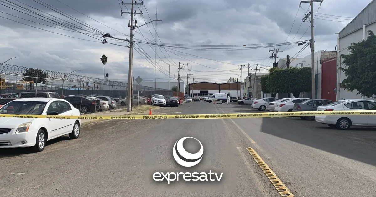 ASESINATO INDUSTRIAL