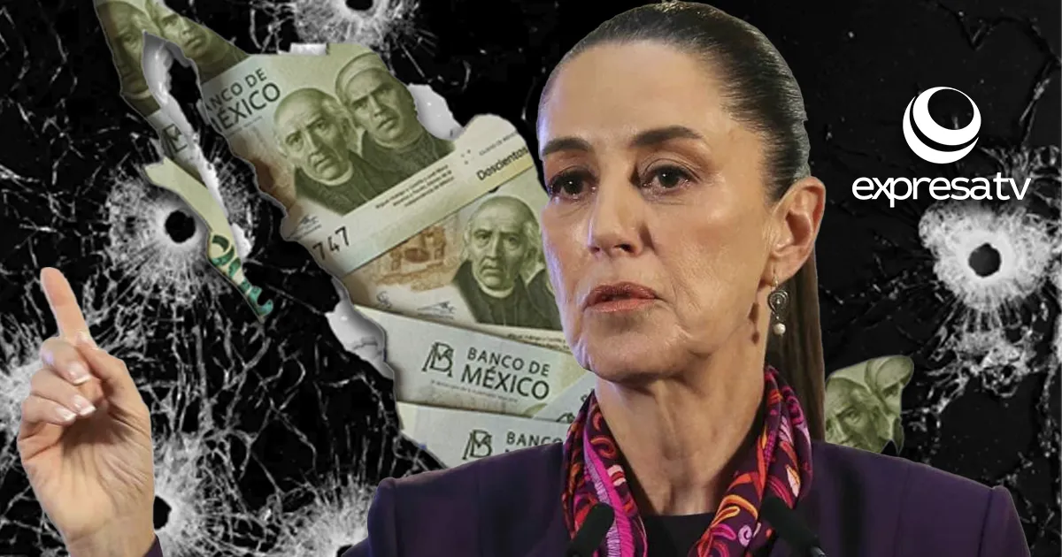 ECONOMÍA SHIENBAUM