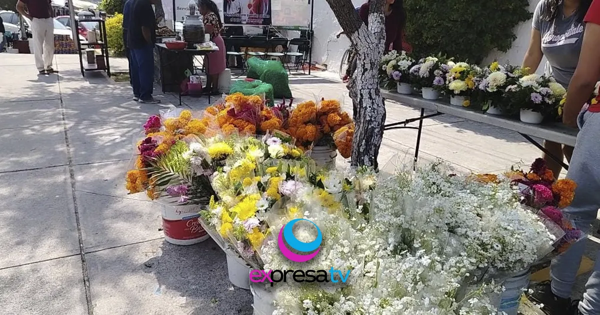 COMERCIANTES PANTEÓN