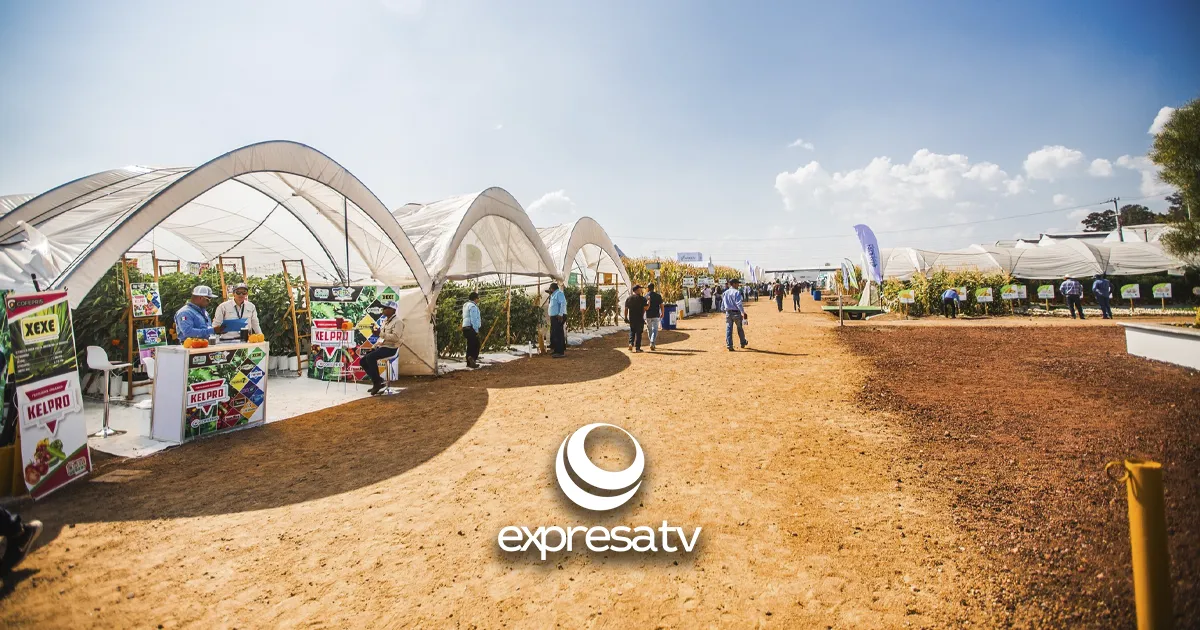 EXPOAGRO