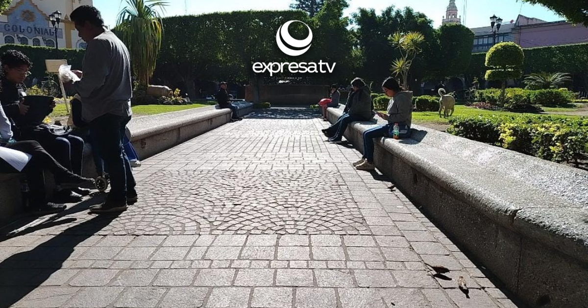 Título-de-sección-_25_