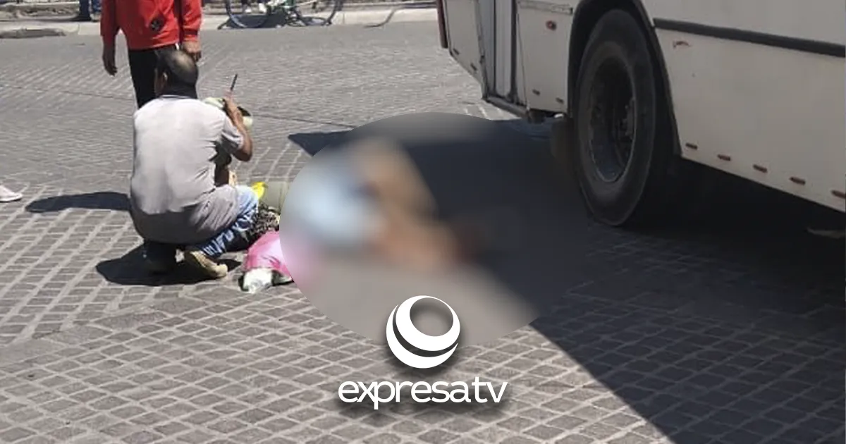 ATROPELLADA COMONFORT