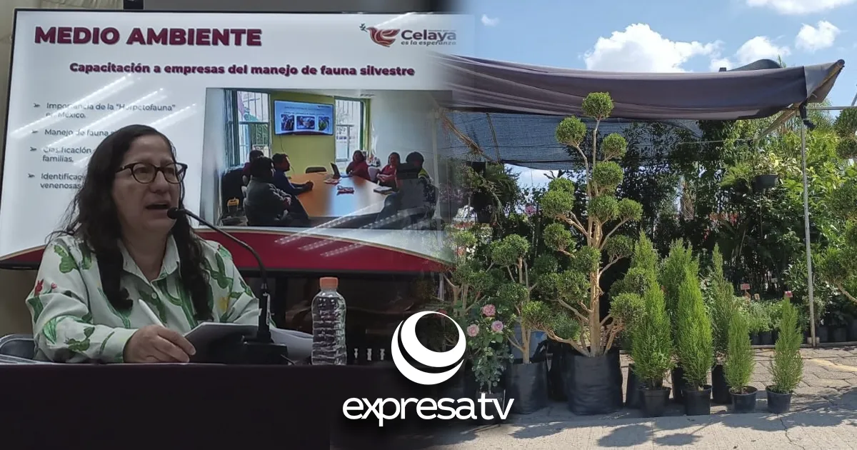 MEDIO AMBIENTE VIVERO