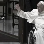 ENFERMEDADES PAPA