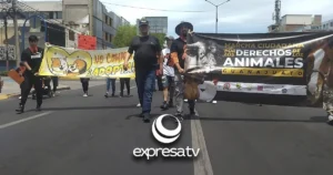 MARCHA ANIMALES