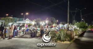 TIANGUIS OLIVOS