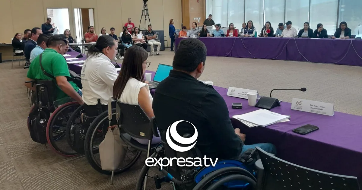 CONSULTA DISCAPACIDAD