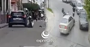 TRÁNSITO ATROPELLADOS