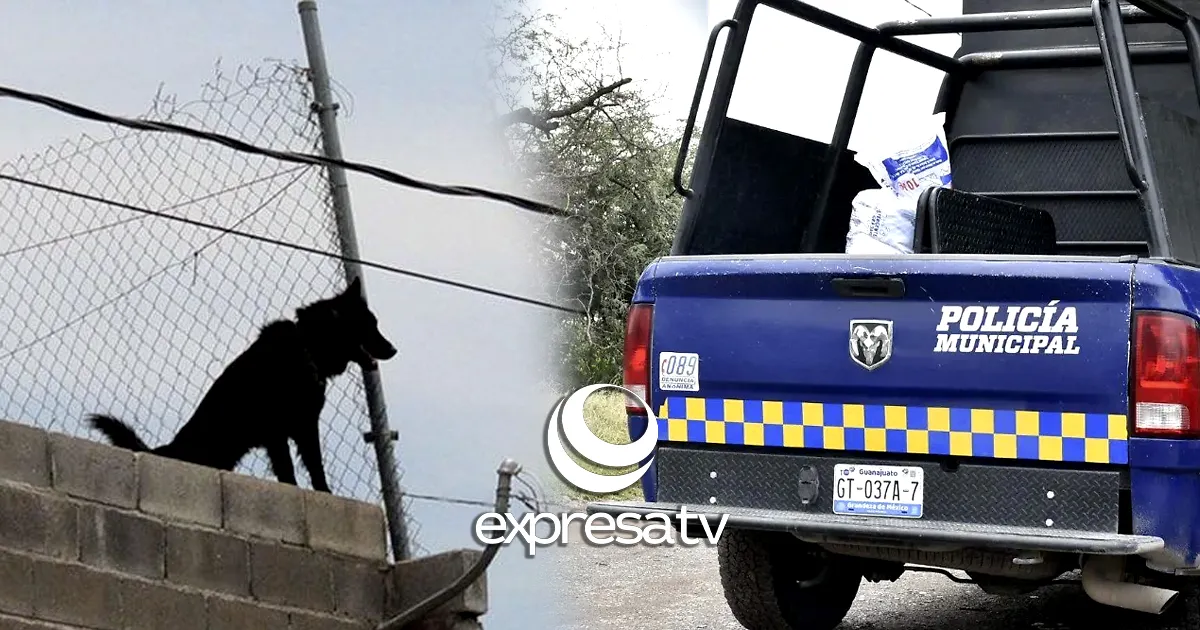POLICÍA PERROS