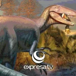 Joaquinraptor casali