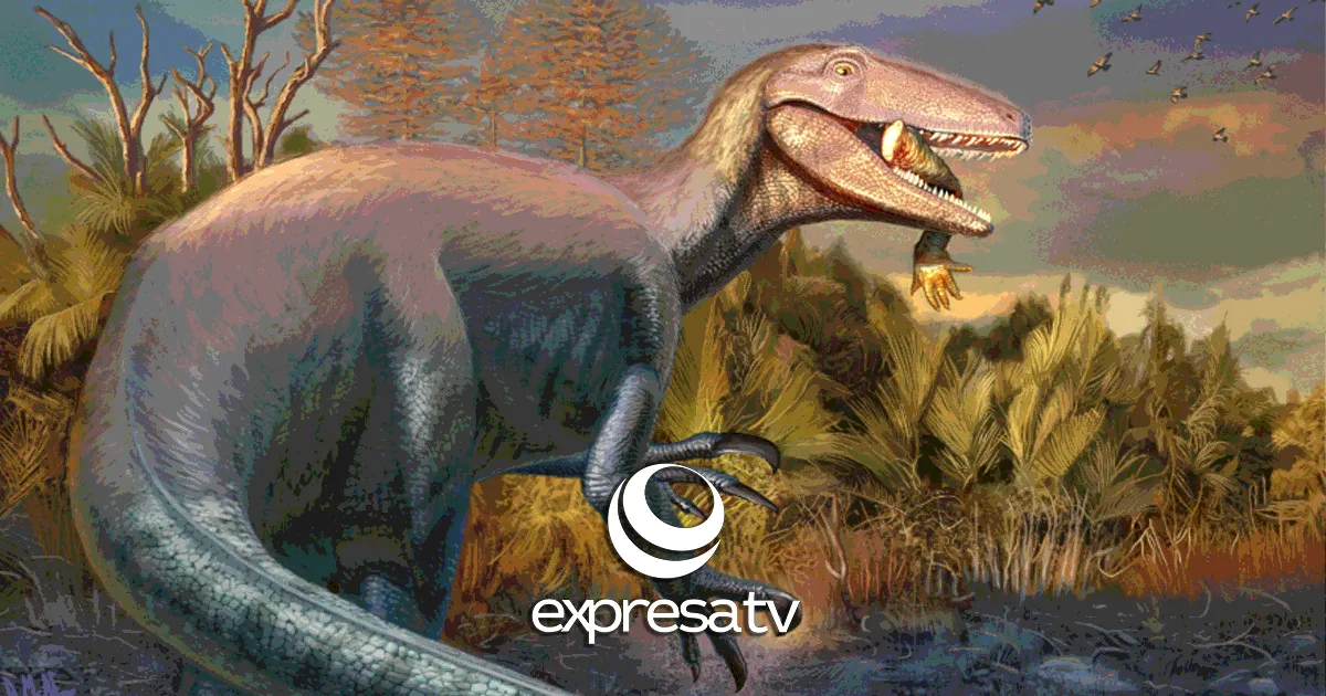 Joaquinraptor casali