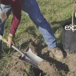 ESTRATEGIA AMBIENTAL