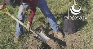 ESTRATEGIA AMBIENTAL