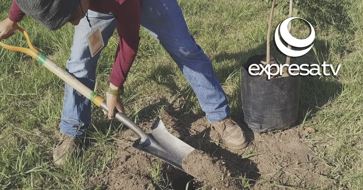 ESTRATEGIA AMBIENTAL