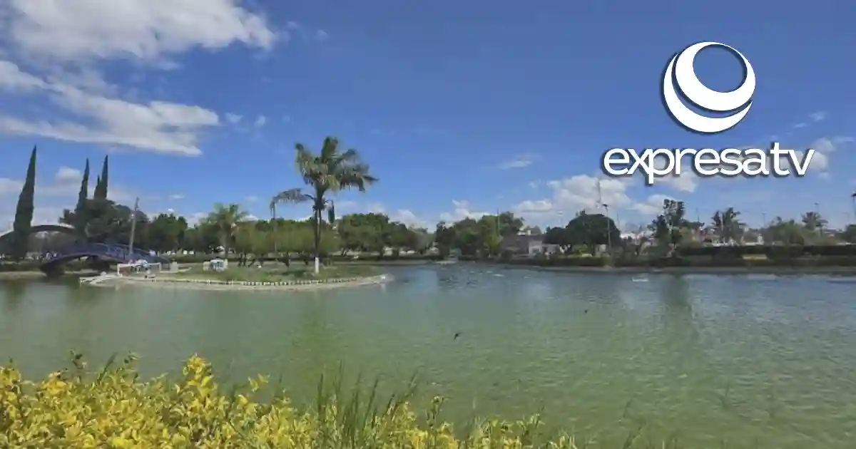 CAFETERÍA XOCHIPILLI