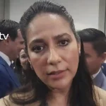 GOBERNADORA LEY INGRESOS