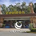 ZOOLÓGICO