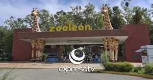 ZOOLÓGICO