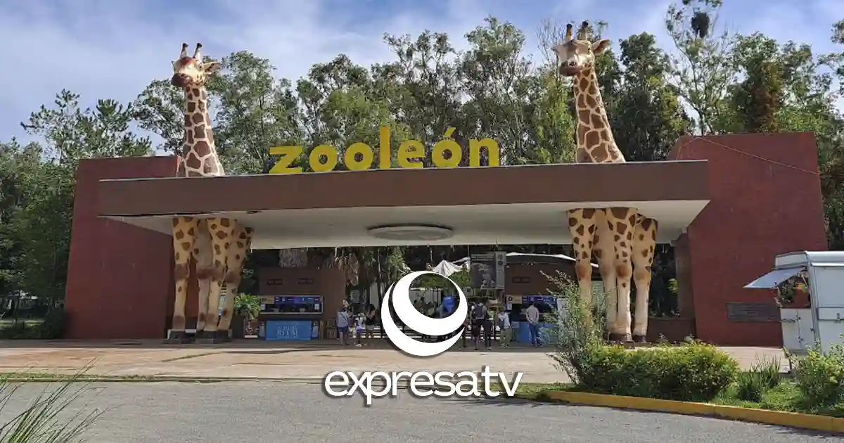 ZOOLÓGICO